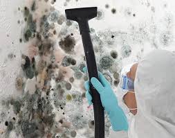 Trusted Levittown, PA Mold Remediation Experts